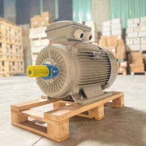 Động cơ điện 22kW 30HP 1470rpm – motor 3 pha công nghiệp