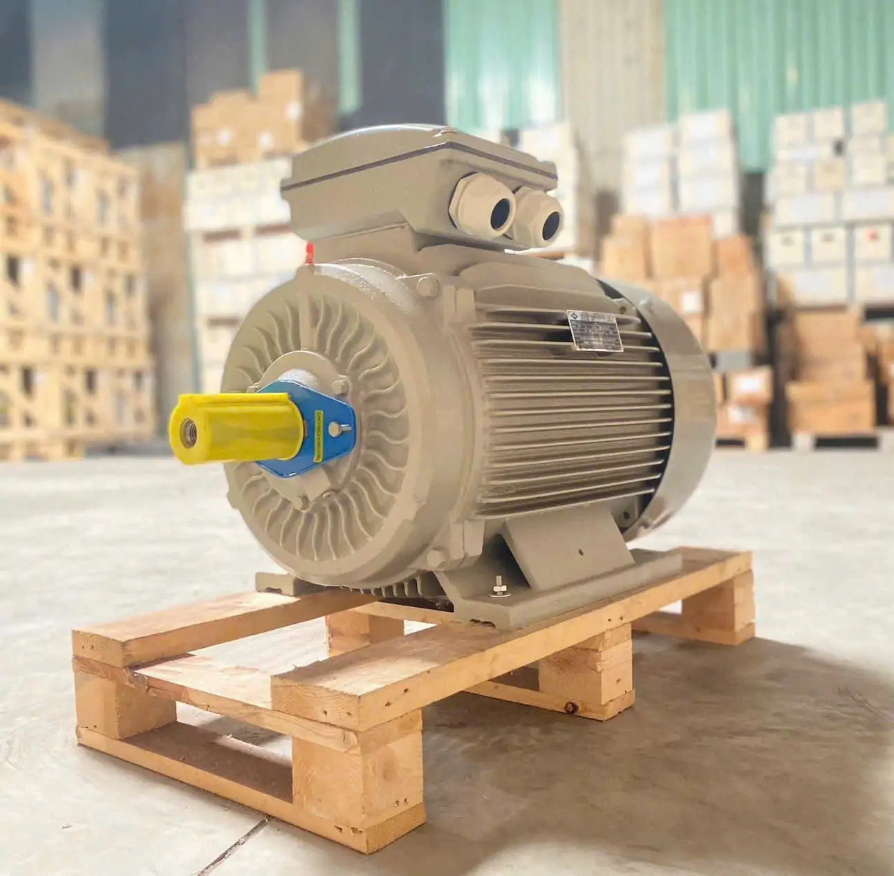 Động cơ điện 22kW 30HP 1470rpm – motor 3 pha công nghiệp